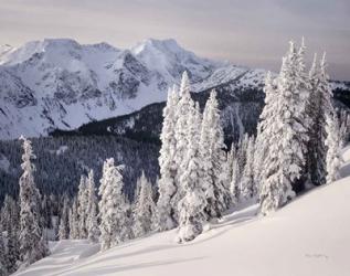 Cariboo Mountains | Obraz na stenu