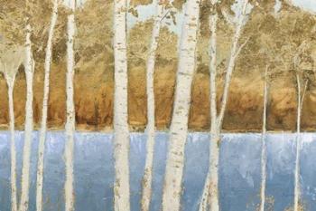 Lakeside Birches | Obraz na stenu