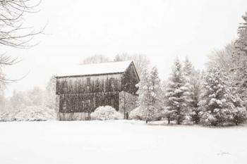 First Snow BW Crop | Obraz na stenu