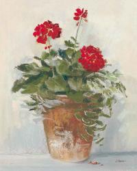 Potted Geraniums II Light | Obraz na stenu