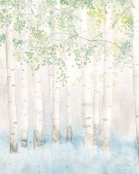 Soft Birches II | Obraz na stenu