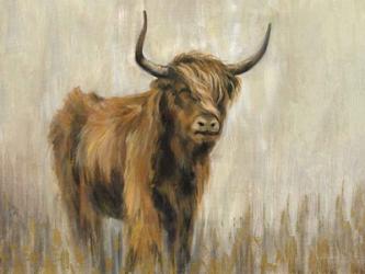 Highland Mountain Cow | Obraz na stenu