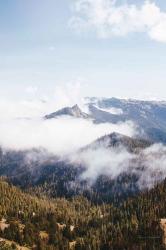 Hurricane Ridge I | Obraz na stenu