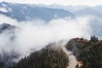 Hurricane Ridge III | Obraz na stenu