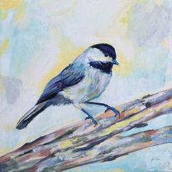 Chickadee | Obraz na stenu