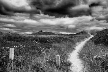 Nantucket Pathway | Obraz na stenu