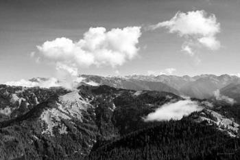 Olympic Mountains II | Obraz na stenu