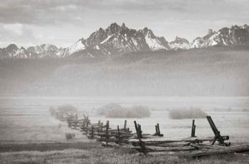 Stanley Basin Fence and Fog | Obraz na stenu