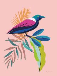 Exotic Birds I | Obraz na stenu