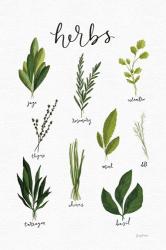 Herbs I White | Obraz na stenu