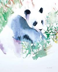 Panda | Obraz na stenu