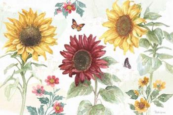 Sunflower Splendor IV | Obraz na stenu
