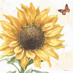 Sunflower Splendor IX | Obraz na stenu