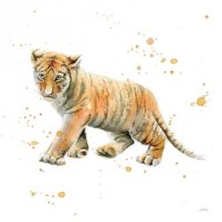 Tiger Cub | Obraz na stenu