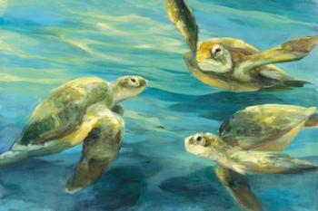 Sea Turtles | Obraz na stenu
