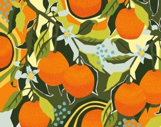 Sweet Clementine I | Obraz na stenu