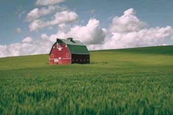 Palouse Region Red Barn I | Obraz na stenu