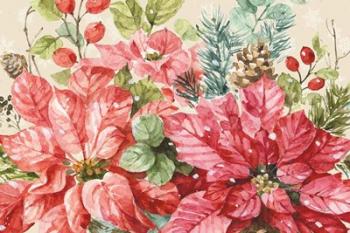 Our Christmas Story Poinsettias | Obraz na stenu