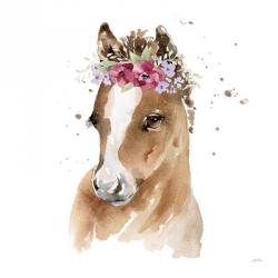 Floral Pony Pink Sq | Obraz na stenu
