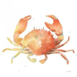 Summertime Crab | Obraz na stenu