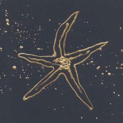 Gold Starfish II | Obraz na stenu