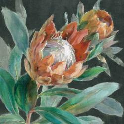 Deep Tropical Protea Crop | Obraz na stenu