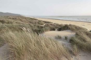 Oregon Dunes | Obraz na stenu