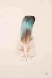 Floating Feathers IV | Obraz na stenu