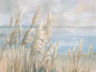 Seaside Pampas Grass | Obraz na stenu