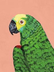 Parrot Head | Obraz na stenu