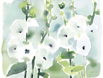 White Hollyhocks | Obraz na stenu