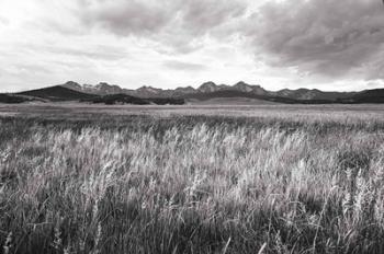 Sawtooth Mountains Idaho II BW | Obraz na stenu