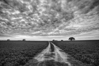 Farm Road | Obraz na stenu