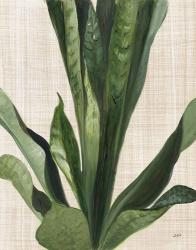 Tropical Study III Linen | Obraz na stenu