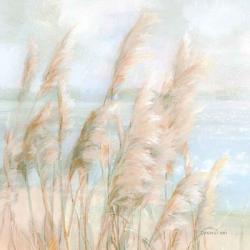 Seaside Pampas Grass Light Crop | Obraz na stenu