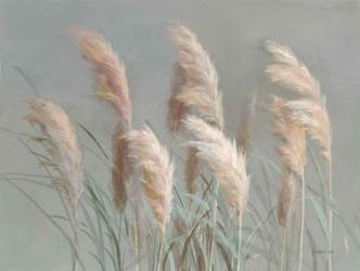 Pampas Grasses on Gray | Obraz na stenu