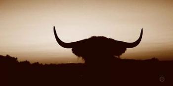 Bull Set Sepia Crop | Obraz na stenu