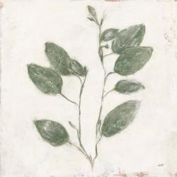 Plantlife II Green | Obraz na stenu