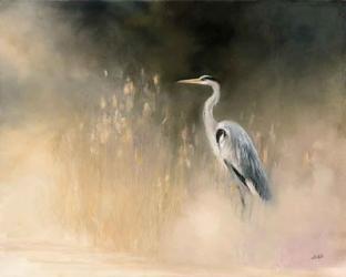 Peaceful Egret | Obraz na stenu