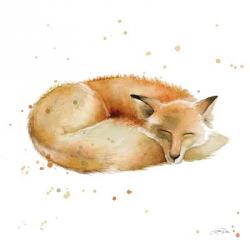 Sleeping Fox | Obraz na stenu