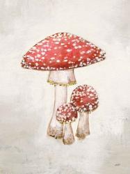 Woodland Mushroom II | Obraz na stenu