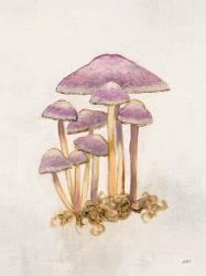 Woodland Mushroom III | Obraz na stenu