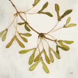 Maple Branch Crop | Obraz na stenu