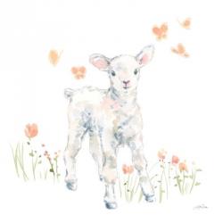 Spring Lambs I | Obraz na stenu