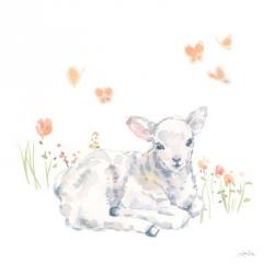 Spring Lambs III | Obraz na stenu