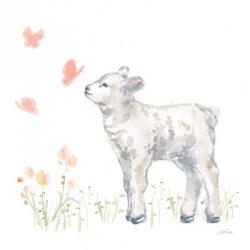 Spring Lamb IV | Obraz na stenu