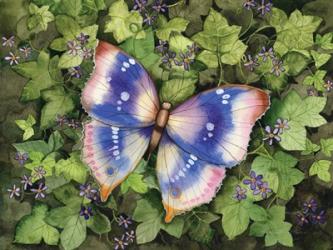 Garden Butterfly | Obraz na stenu