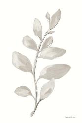 Gray Sage Leaves I on White | Obraz na stenu