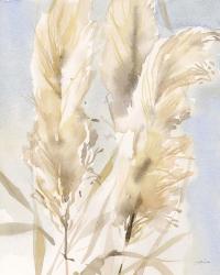 Pampas Grasses II | Obraz na stenu