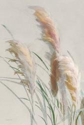 Neutral Pampas Grasses II | Obraz na stenu